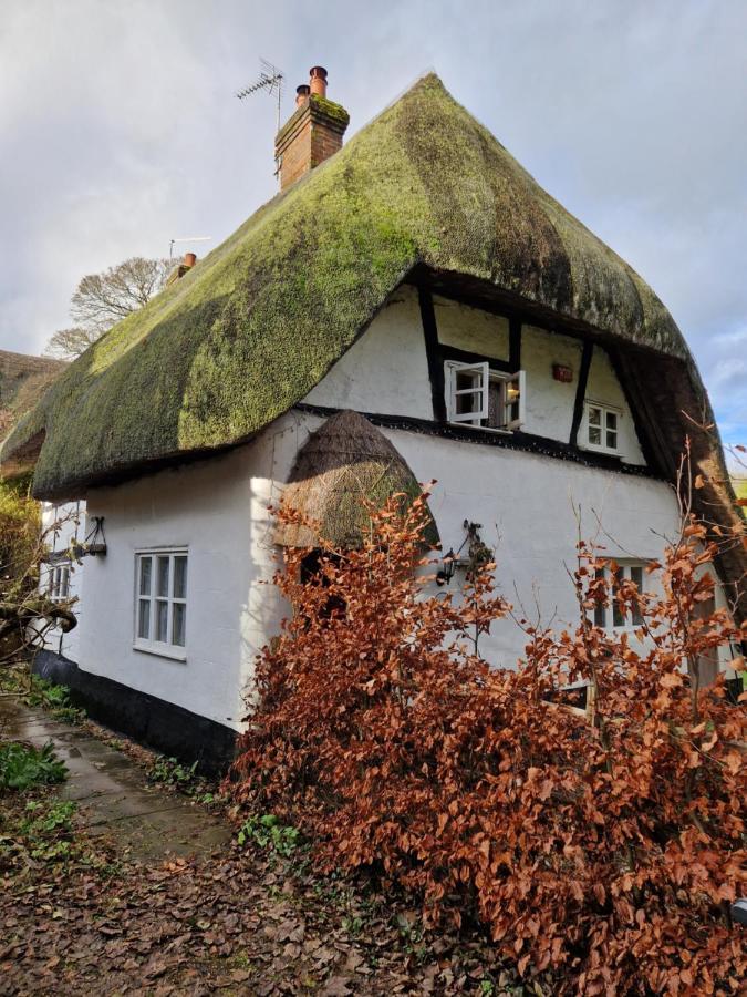 Delightful 3Bed Thatched Cottage 스톡브리지 외부 사진